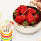Colourful Ring Style Stainless Steel Fruit Fork Stand with 8 Cartoon Shape Suitable for Fruit-Salad, Multi Color